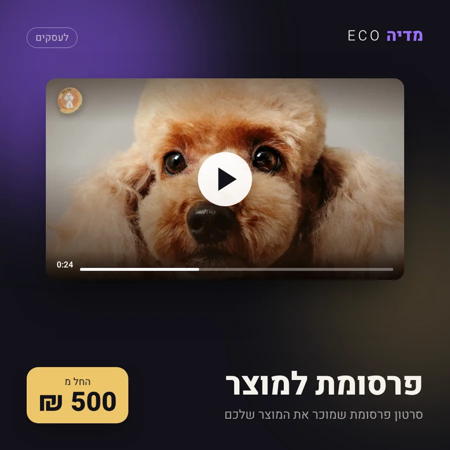 פרסומת למוצר, 500 ₪